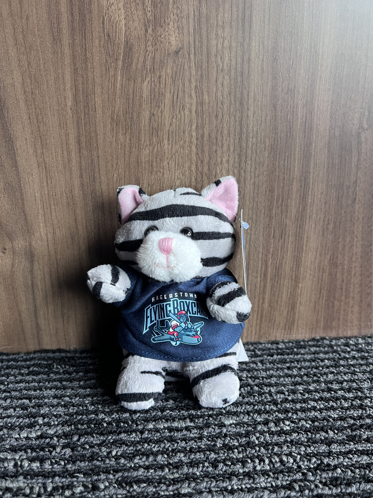 Stubby Cat